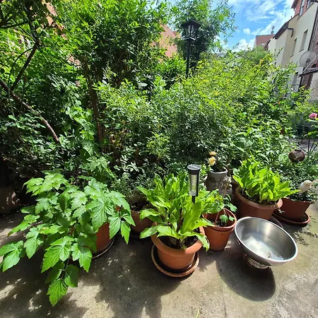 Schramm Appartement